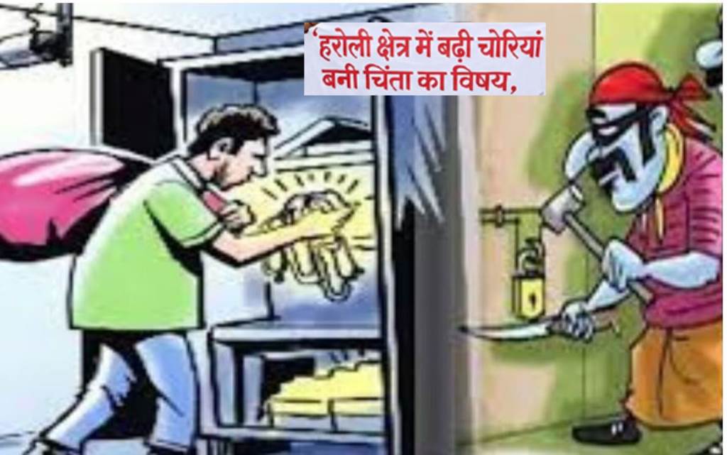 Rising thefts in the Haroli area have become a cause for concern staff shortages and the regions border location compound the challenges